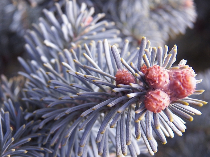 Jardín Kim Verde Tienda -Jardín Kim Verde Tienda 9ba39e86 cf0d 419e 92f6 bcfc1bae4cc1111